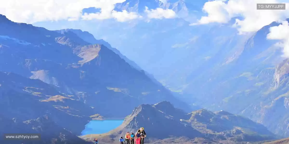 🏀巅峰对决，见证冠军诞生的荣耀瞬间！🏆